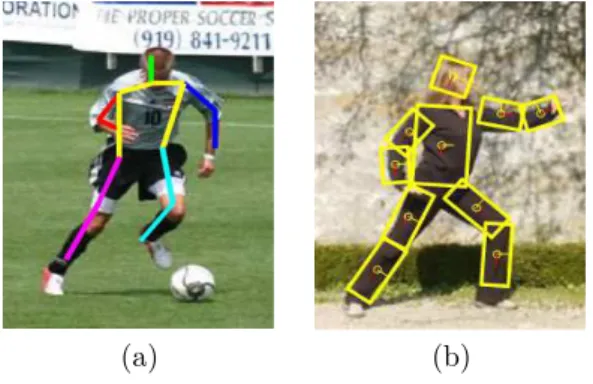 Figure 1.4: Skeleton-based representations of the human body formed by (a) seg- seg-ments, and (b) rectangles.