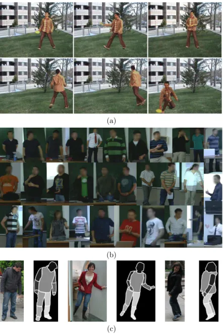 Figure 3.2: (a) Samples of the cVSG corpus and (b) UBDataset image sequences, and (c) HumanLimb dataset.