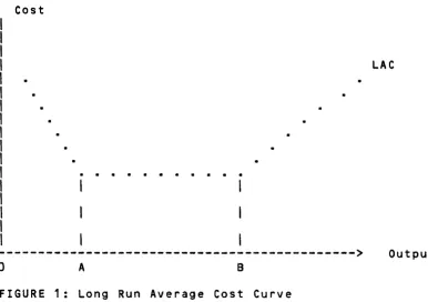 FIGURE 1: Long Run Average Cost Curve 