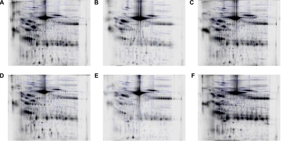 Figure 6. The reference image from each patient with the ﬁnal spot pattern superimposed