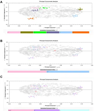 Figure 7. PCA of all 108 gels in a singleSameSpots experiment, generated withinthe software and showing the ﬁrst twoeigenvectors in each case