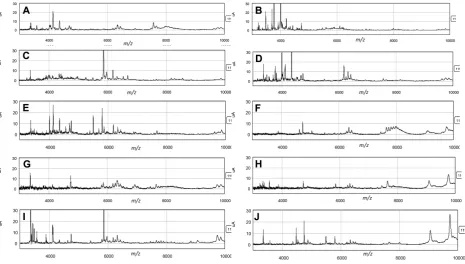 Figure 2. Representative examples of the SELDI proﬁles of each sample.