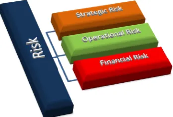 Figure 2. Risk hierarchy of financial risk [5].                     