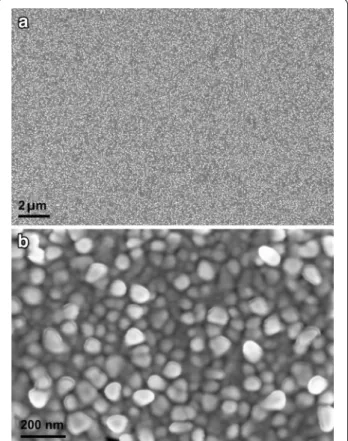 Figure 1  a–b SEM images of pAu/AuNS surface under different  magnifications.