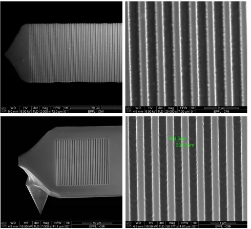 Figure 2. SEM images of the grating formed at the backside surface of CSC38 AFM lever by the focused ion beam etching method