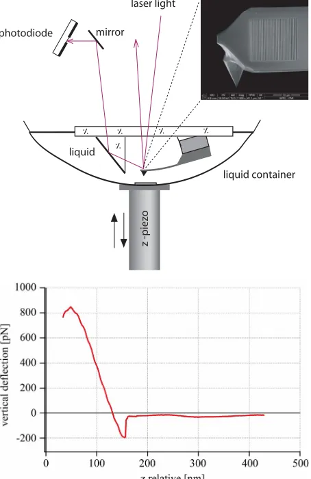 Figure 3. Approach/contract curves recorded for the grat- ing (up) and mirror (bottom) reflections from the cantile- ver