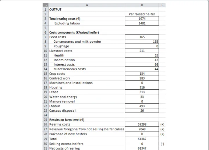 Fig. 2 Output worksheet of the economic tool Jonkos, which calculates the total cost of rearing a heifer
