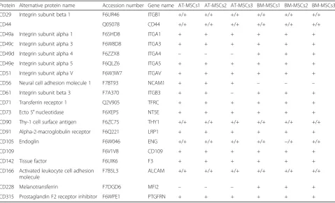 Table 2 Identified genes and/or proteins appointed to the cluster of differentiation (CD) classification system