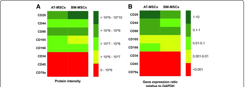 Fig. 1 Heat maps showing the uniformity of the protein expression pattern (a) and gene expression pattern (b) in samples from equine adiposetissue-derived mesenchymal stromal cells (AT-MSCs) and bone marrow-derived mesenchymal stromal cells (BM-MSCs), for 