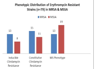 FIG 4. Showing distribution of Erythromycin Resistant Strains in MRSA &MSSA 