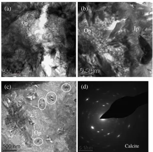 Figure 8. TEM micrographs for 30% GGBS sample after 4 days exposure at (a) 0% CO2 (b) ambient CO2  (c) ambient CO2 (d) SAED pattern for crystals in (c), SAED pattern  