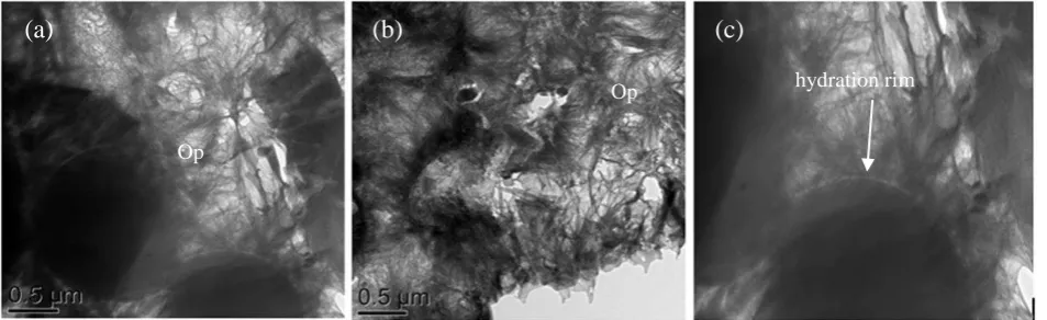 Figure 9. TEM micrographs for 30% PFA sample after 4 days exposure (a) 0% CO2 (b) ambient CO2(c) enlargement of PFA particle in Figure 7(a) 