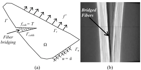 Figure 2. (a) A general body in the state of equilibrium un- der different tractions and boundary conditions; (b) Exam- ple of fiber bridging from an actual tested sample under fracture mode I