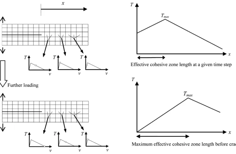 Figure 4. Formation steps of the cohesive zone in front of crack tip during numerical simulation