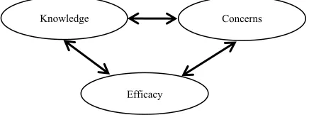 Figure 1. Representation of TCM interlocking determinants. 