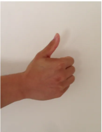 Figure 1.1: Static gestures