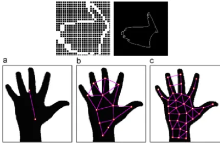 Figure 1.4: Three images are the results while using binary image, hand contours, and palm center feature extraction method, respectively.