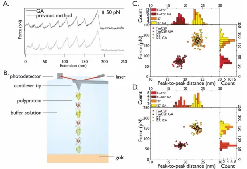 Figure S1.  Mechanical unfolding of the (I27-TmCsp)3-I27GA polyprotein made using Gibson Assembly, compared with  (I27-TmCsp)3-I27 constructed using the classical cassette approach