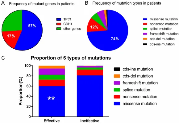 Figure 2. Distribution of mutant genes and mutation types. A. Proportion of mutant genes in 23 patients; B
