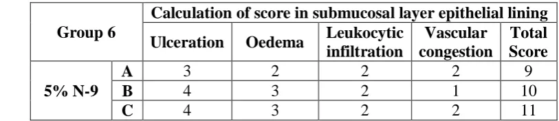 Table 7. Results of group 6 of vaginal irritation test. 