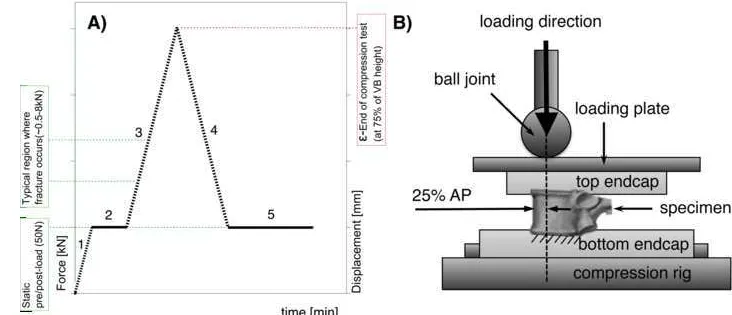 Figure 2Click here to download high resolution image