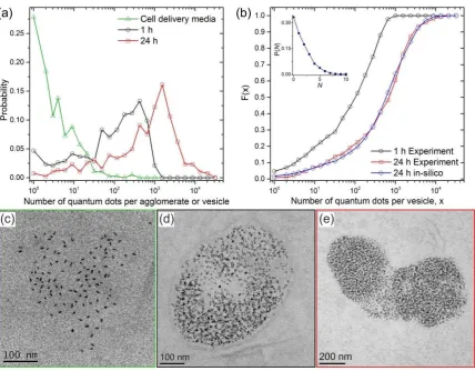 Figure 4. (a) Measured probability densities for the number of quantum dots per agglomerate in the 