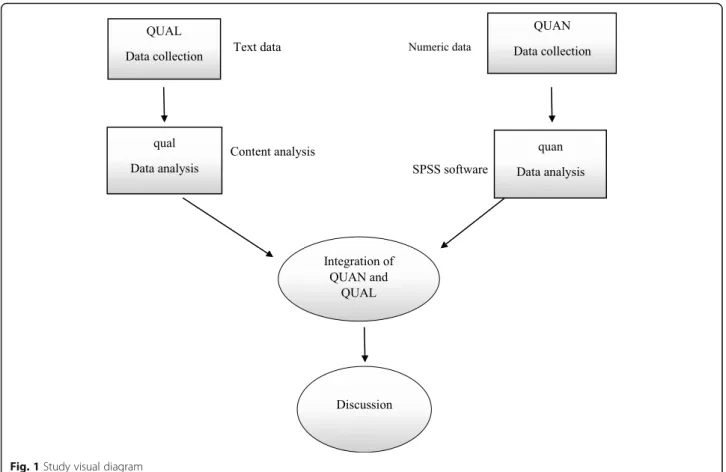 Fig. 1 Study visual diagram