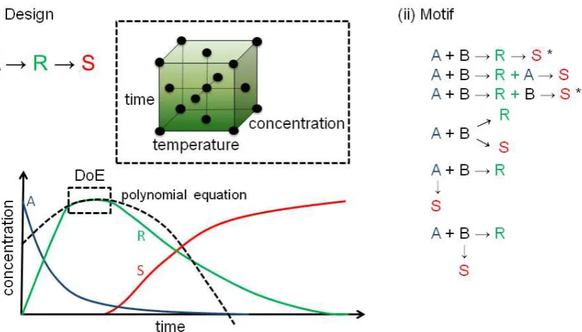 Figure 1. (i) Schematic reaction profile for a reaction in series; (ii) Different kinetic motifs for a multi-step reaction system scenario, only 2 of these motifs can describe the profile sketched (starred*)