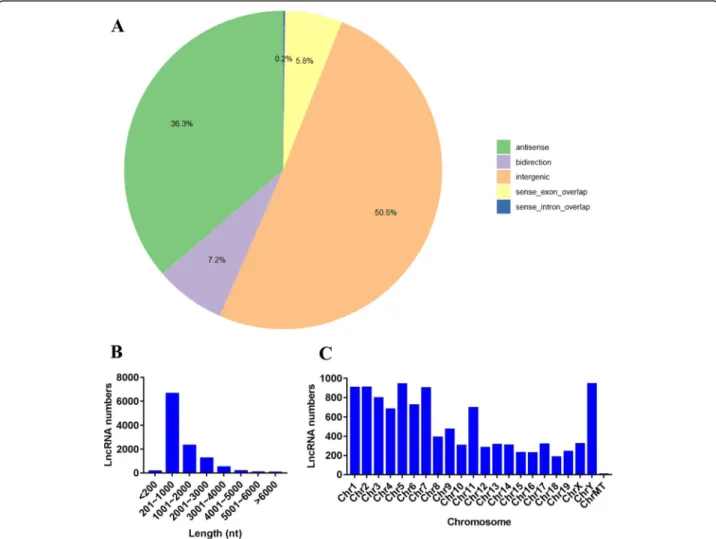 Fig. 1 Expression characteristics of lncRNAs. a Classification of lncRNAs. b Length distribution of lncRNAs
