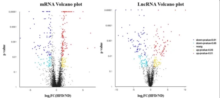 Fig. 2 Volcano plots of mRNAs (left) and lncRNAs (right) differentially expressed between the two groups