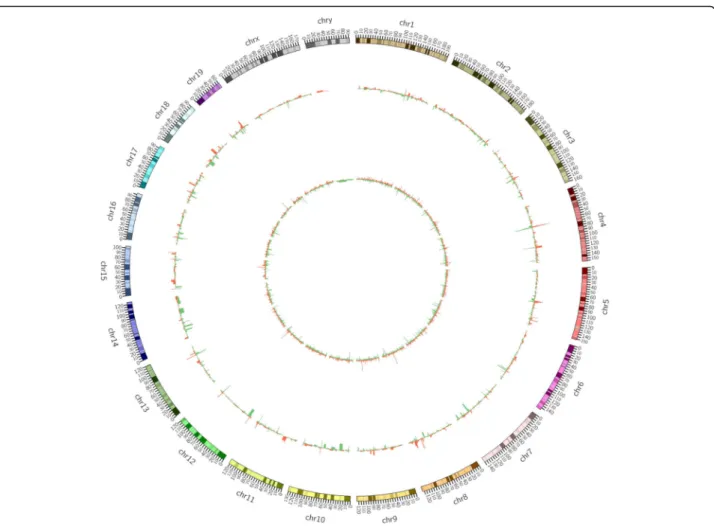 Fig. 3 Distributions of differentially expressed lncRNAs and mRNAs on chromosomes. The outer layer shows the distribution on chromosomes, the middle layer indicates the differential expression of lncRNAs on the chromosomes, and the inner layer shows the di
