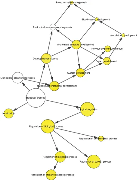 Figure 7 The BP network showed as an interaction network using the Cytoscape plug-in BiNGO.Notes: Color depth represented the degree of enrichment of GO terms
