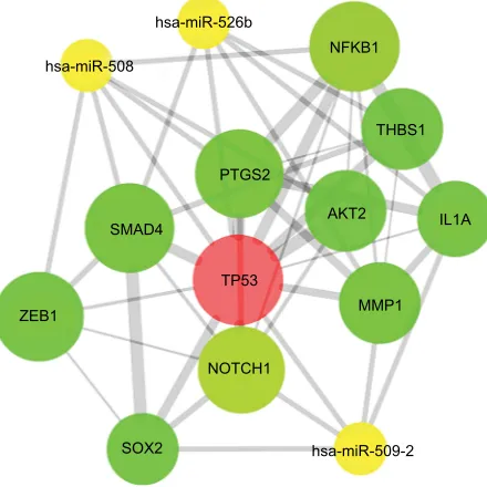 Figure 9 The MF network showed as an interaction network using the Cytoscape plug-in BiNGO.Notes: Color depth represented the degree of enrichment of GO terms