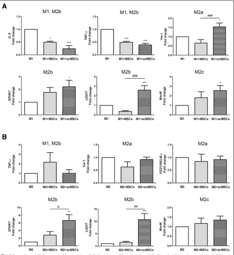 Fig. 4 Preconditioned MSCs promote M2 polarization of M1-like cells and M2b polarization of M2a-like cells
