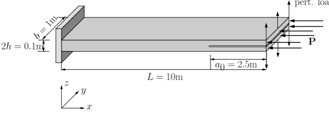 Figure 14. Geometry of a panel under axial load with an initial delamination.