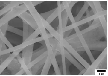 Figure S6. The SEM image of electrospun nanofibers on the commercial Celgard 2320 separator denoted as TPP@PVDF-HFP@commercial separator
