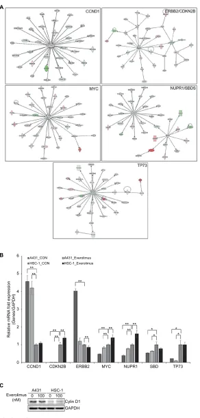 Figure 3 IPA of the genes associated with everolimus resistance.Notes: (A) The functional pathway analysis network using IPA