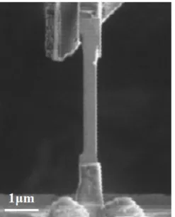 Figure 8. SEM image of a specimen fabricated for tensile testing. 