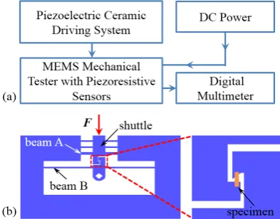 Figure 1.  Schematic of the testing system in SEM: (a) The actuation control flow chart; (b) Design of the testing apparatus