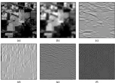 Fig. 2.  Application of 2D-SSA to a scene in HSI. (a) Original scene at 667 nm (b) First  (c) Second (d) Third (e) Fourth individual components and (f) Grouping by  the rest of components from 5-25 th , where L x =5, L y =5 (L 2D =25)
