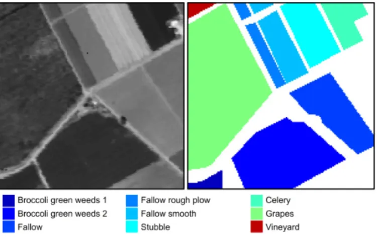 Fig. 8.  One band image at the wavelength of 667 nm (left) and the ground truth map for the Salinas C data set (right)