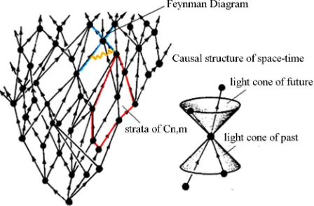 Figure 3. Causal structure and tree of the strata. 