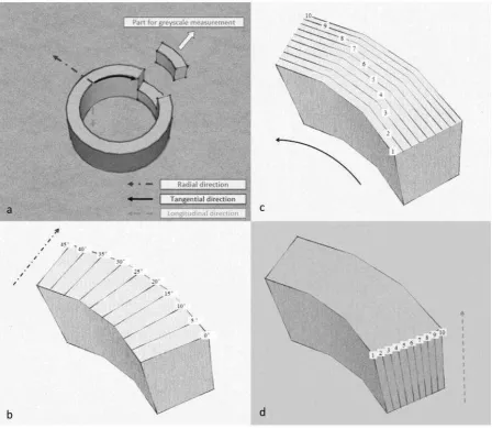 Figure 4 (a) Orientation of culm section showing a part cut for CT scanning. (b) Definition of  radial elements in culm section