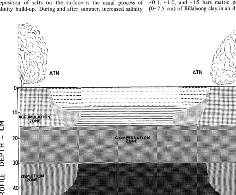 Fig. 2. Pictorial diagram showing distribution of chloride as a function of profile depth between two plants of A