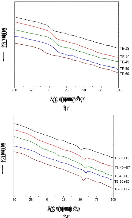 Figure 4SEM photographs of the surface of the polymer matrix of 