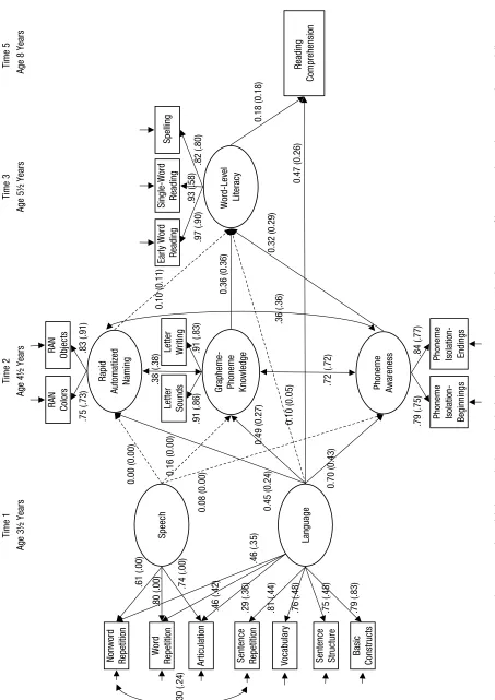 Fig. 1. Two-group structural equation path model showing the longitudinal relations between Time 1 (preschool) measures of language and speech, Time 2 preliteracy skills, Time 3 