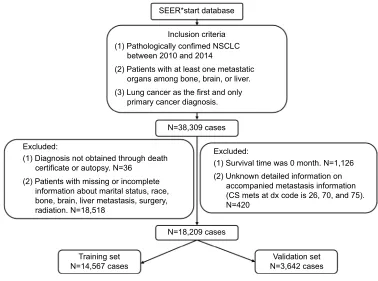 Figure 1 The flowchart of cases selection.Abbreviations: nsClC, non-small-cell lung cancer; seeR, surveillance, epidemiology, and end Results