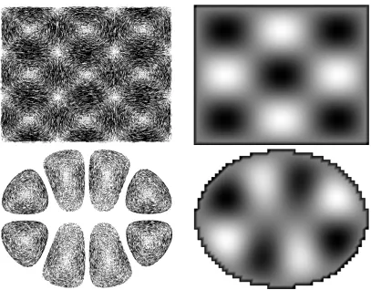 Figure 4.1: Eﬀect of shape on spectral baseson the domain Ω.rectangular grid of size 120: The Laplacian eigenvectors depends heavilyHere, rectangle (top) vs.ellipse (bottom) domains (both computed on 2D2) exhibit very diﬀerent eigenvectors Ψ10 and Φ10.
