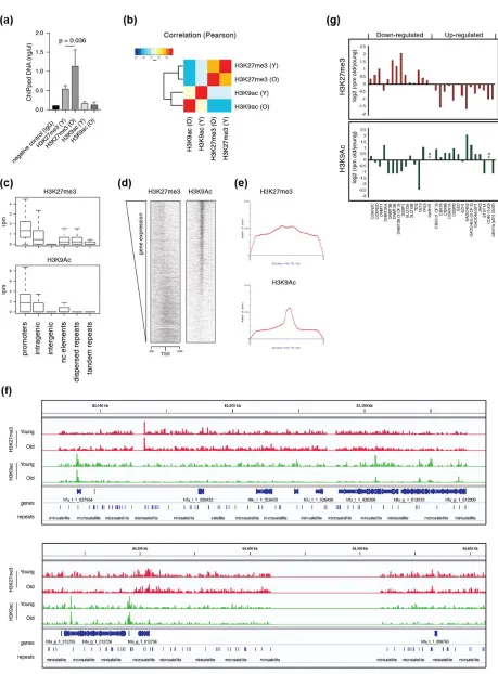 Figure S2. Histone marks H3K27me3 and H3K9ac cluster at the transcription start sites