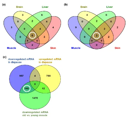 Figure S3. Common mRNA expression profiles in different types of Nfu tissues during aging and during diapause indicate global trends